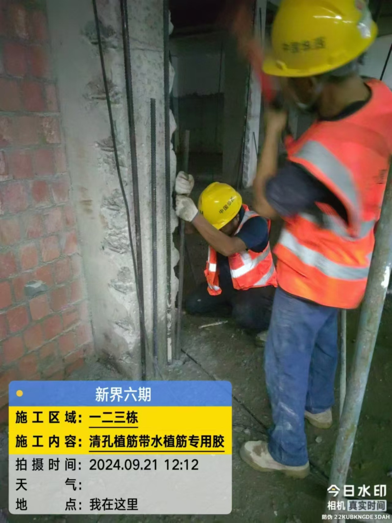 案例展示
